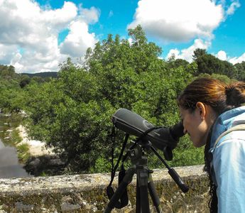 Disfruta del canto de las "Aves de Sierra Morena" en esta ruta ornitológica en Alájar