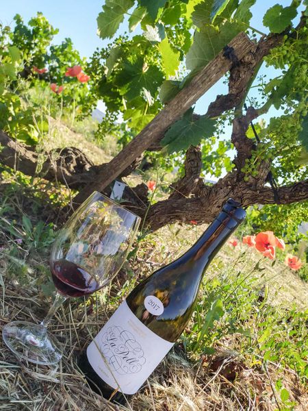 Visita la Bodega Lagravera y cata de vinos "La Pell"