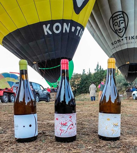 Vol amb globus per la Serra Llarga amb tast de vins de Lagravera