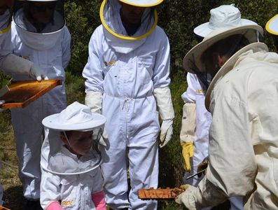 Sé apicultor por un día en Villores y vive la emoción de estar rodeado de abejas