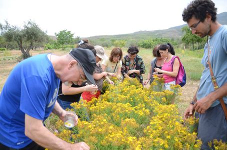 Ruta etnobotánica con taller sorpresa en La Rioja