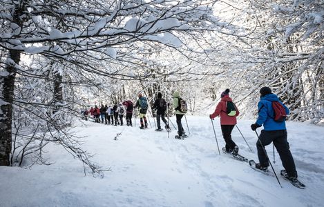 Descubre los Valles del Pirineo Aragonés con raquetas de Nieve en Villanúa (Huesca)