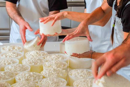 Aprende a elaborar queso de cabra artesanal y visita la Granja ecológica en Alájar, Huelva