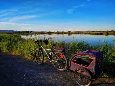 Descubre el entorno de Daimiel en bicicleta