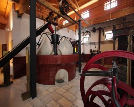 Visita el Museo del Olivar y del Aceite de Oliva en Baena