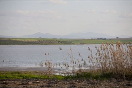 Descubre la Laguna de Ruíz Sánchez en Écija