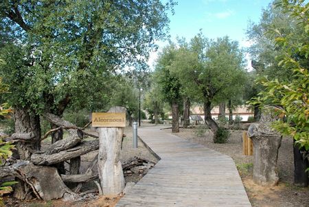 Visita el Jardín Micológico y Centro Andaluz de Micología ‘La Trufa’ en Priego de Córdoba