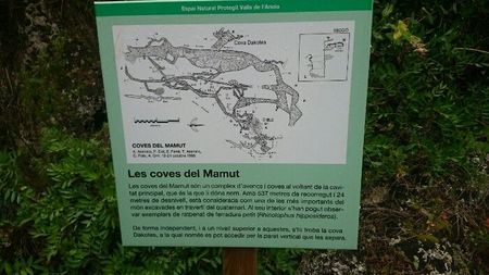 Visita la Cueva del Mamut en Cabrera d'Anoia